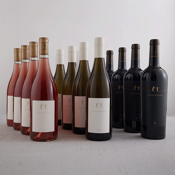 Collection of wine bottles with labels on a light gray background