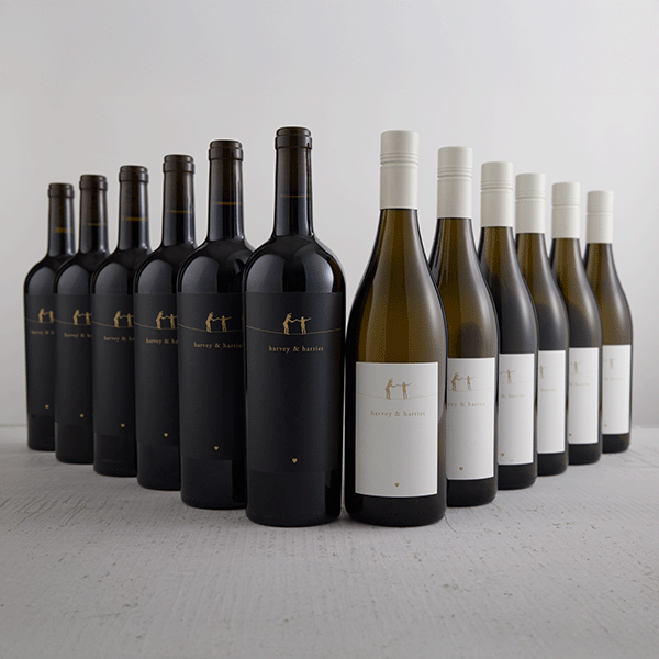 Row of wine bottles with varying labels on a light gray background